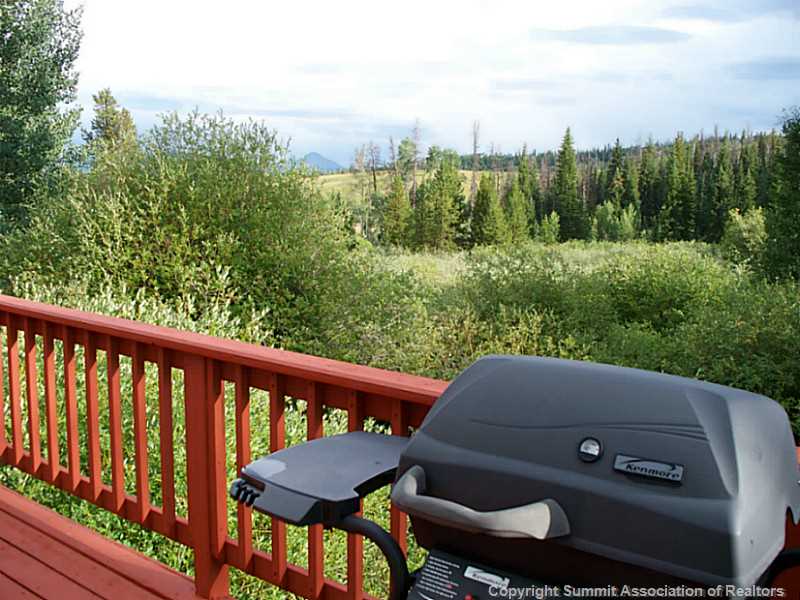 613 Willowbrook Road Silverthorne, CO 80498 - Photo 20 of 22 View.