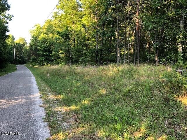0 Trotter Road Grandview, TN 37337 - Photo 1 of 13 a view of a lush green forest
