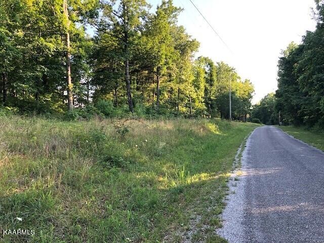 0 Trotter Road Grandview, TN 37337 - Photo 2 of 13 a view of a garden with a tree