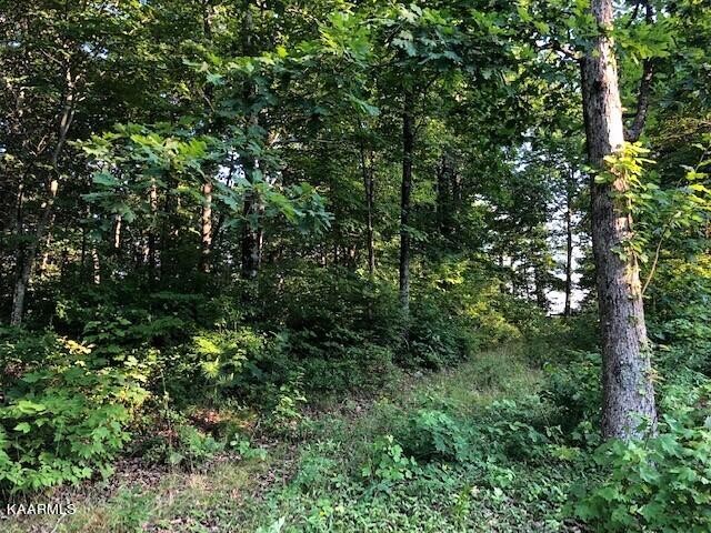0 Trotter Road Grandview, TN 37337 - Photo 3 of 13 a view of a lush green forest