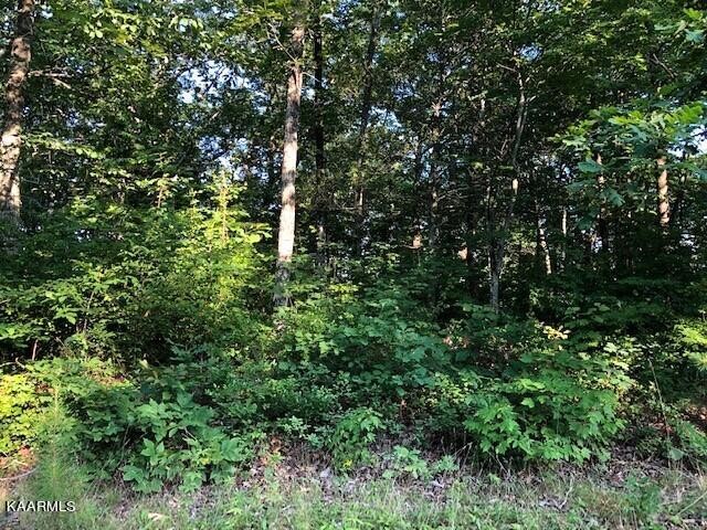 0 Trotter Road Grandview, TN 37337 - Photo 4 of 13 a view of a lush green forest