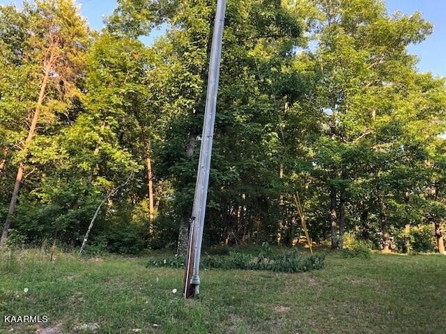 0 Trotter Road Grandview, TN 37337 - Photo 8 of 13 a view of a forest