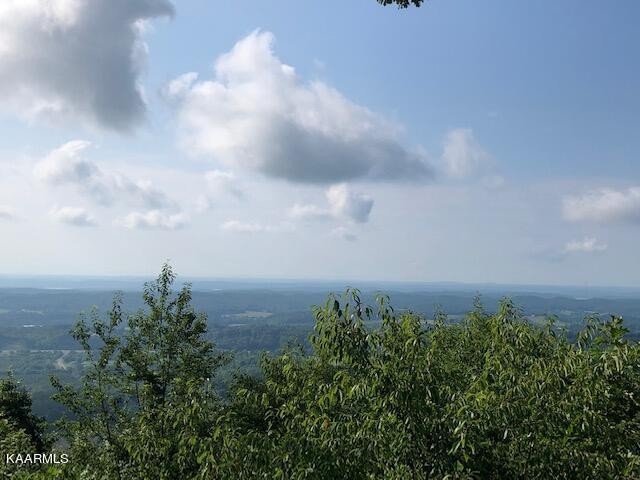 0 Trotter Road Grandview, TN 37337 - Photo 10 of 13
