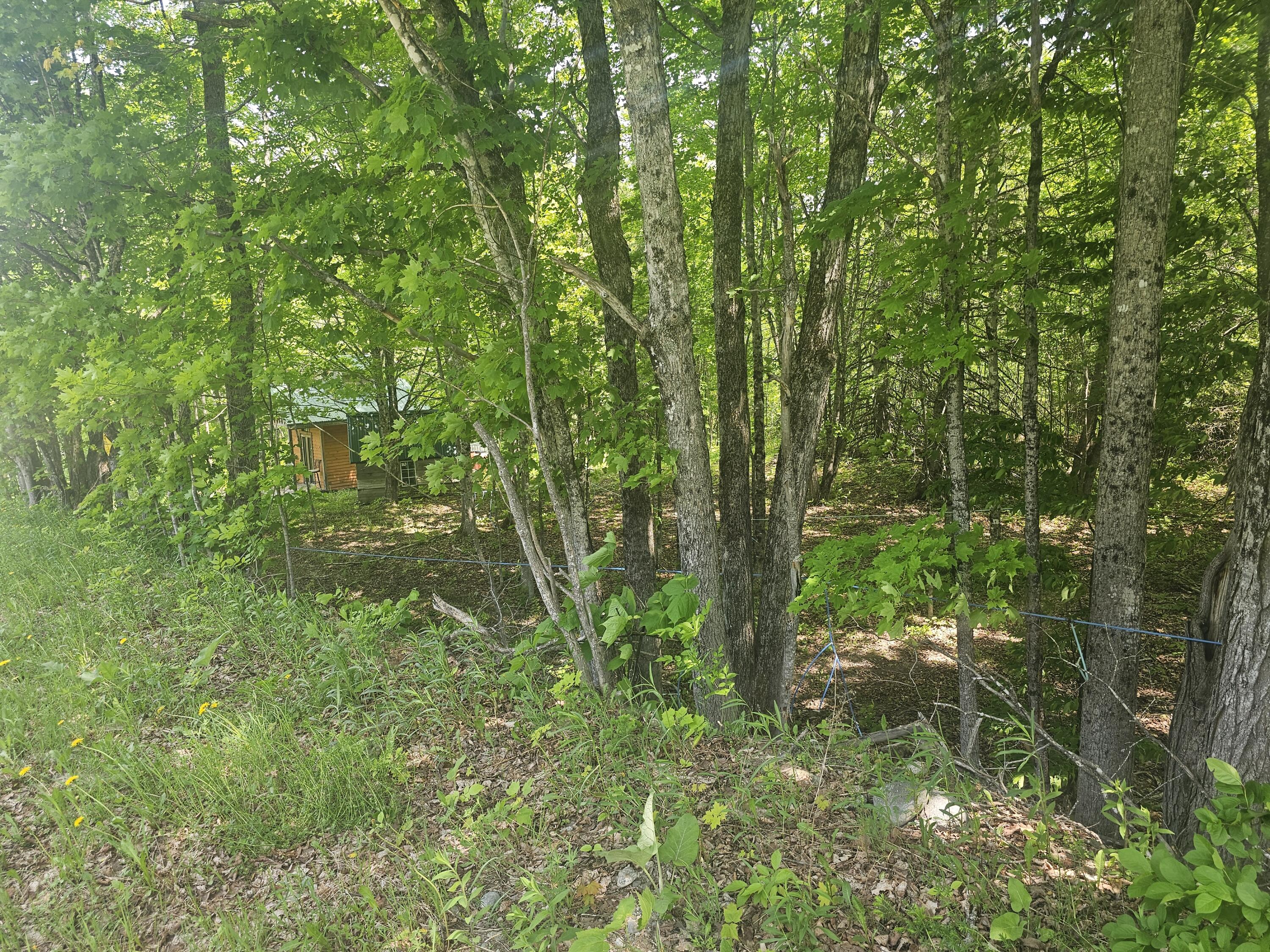 285 Retreat Road Hersey, ME 04747 - Photo 3 of 45 20260606_114901