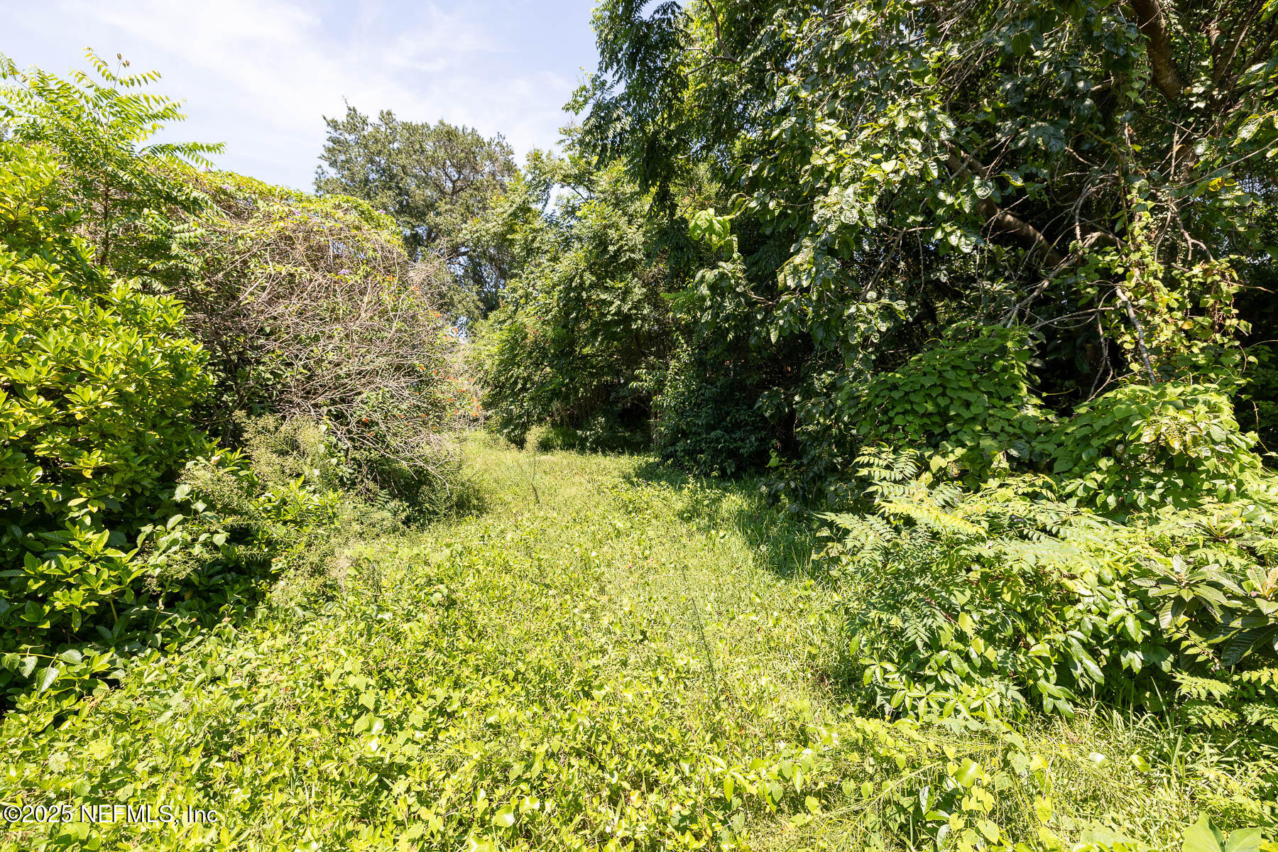 2501 Hendricks Avenue Jacksonville, FL 32207 - Photo 18 of 18 IMG_7737