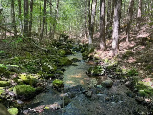 $599,999 | Pucker Street, Warrensburg, NY 12885