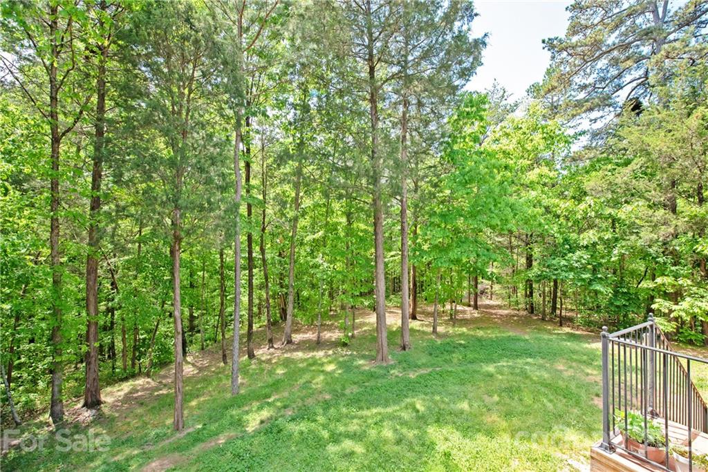 145 Huntington Ridge Place Mooresville, NC 28115 - Photo 43 of 45 a view of lush green forest