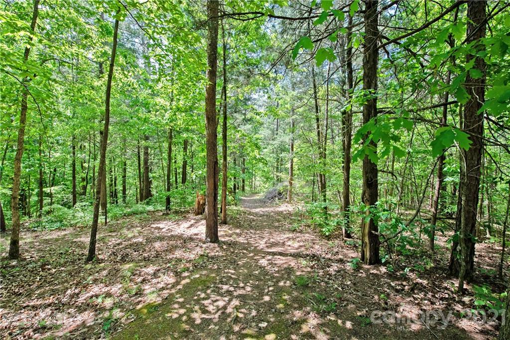 145 Huntington Ridge Place Mooresville, NC 28115 - Photo 45 of 45 a view of a forest with lots of trees