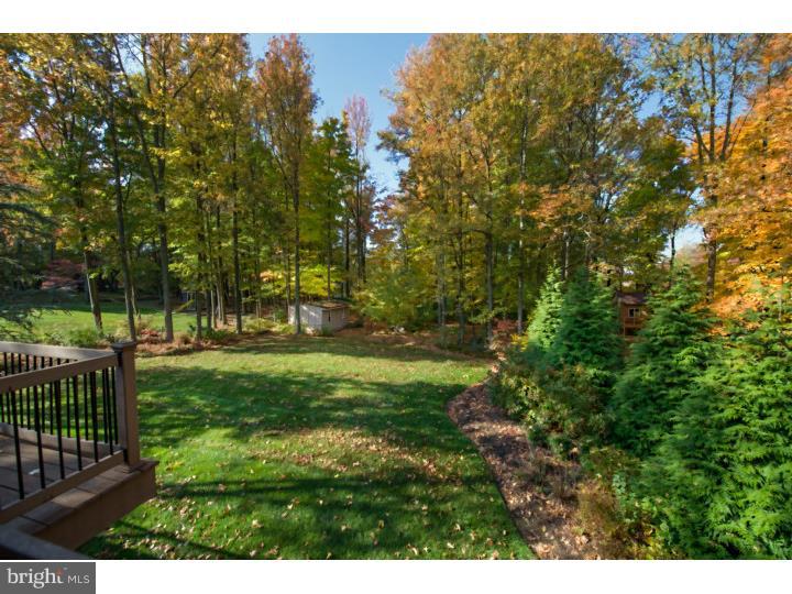 111 Tall Pines Road Newark, DE 19713 - Photo 20 of 24 View in Back