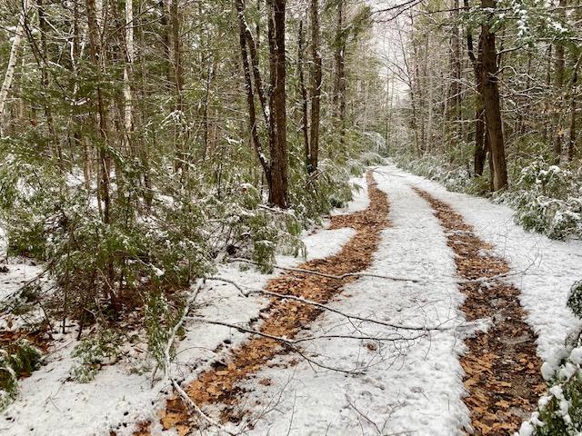 0 Hobbs Swamp Road Parsonsfield, ME 04047 - Photo 6 of 10 IMG_0863