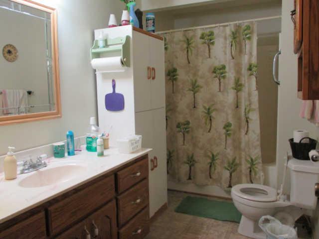 995 Rose Hill Road Pulaski, TN 38478 - Photo 11 of 20 a bathroom with a sink a toilet a shower and a mirror