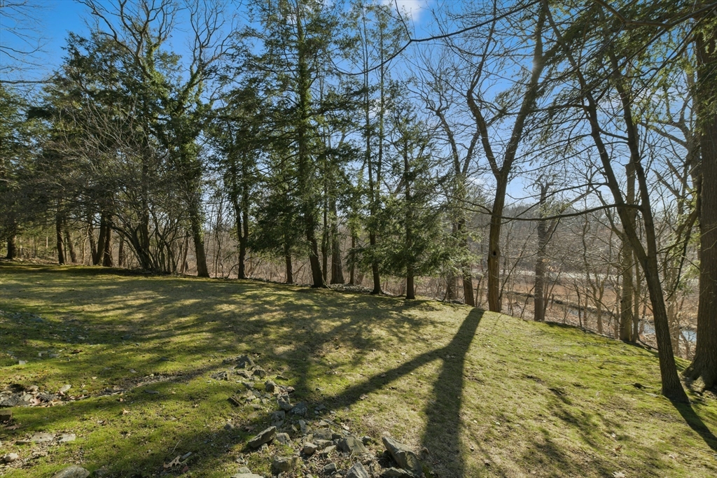 17 Laurel Road Brookline, MA 02467 - Photo 26 of 29 a view of yard with tree