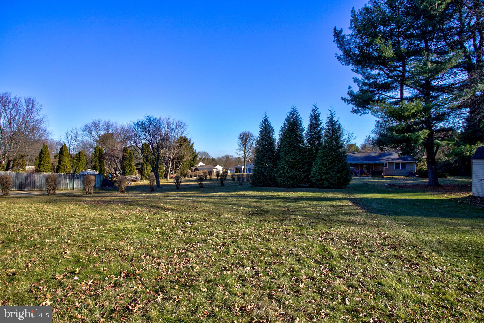 10 Sherri Lane Lititz, PA 17543 - Photo 31 of 45 5 Large Evergreens are on this property!