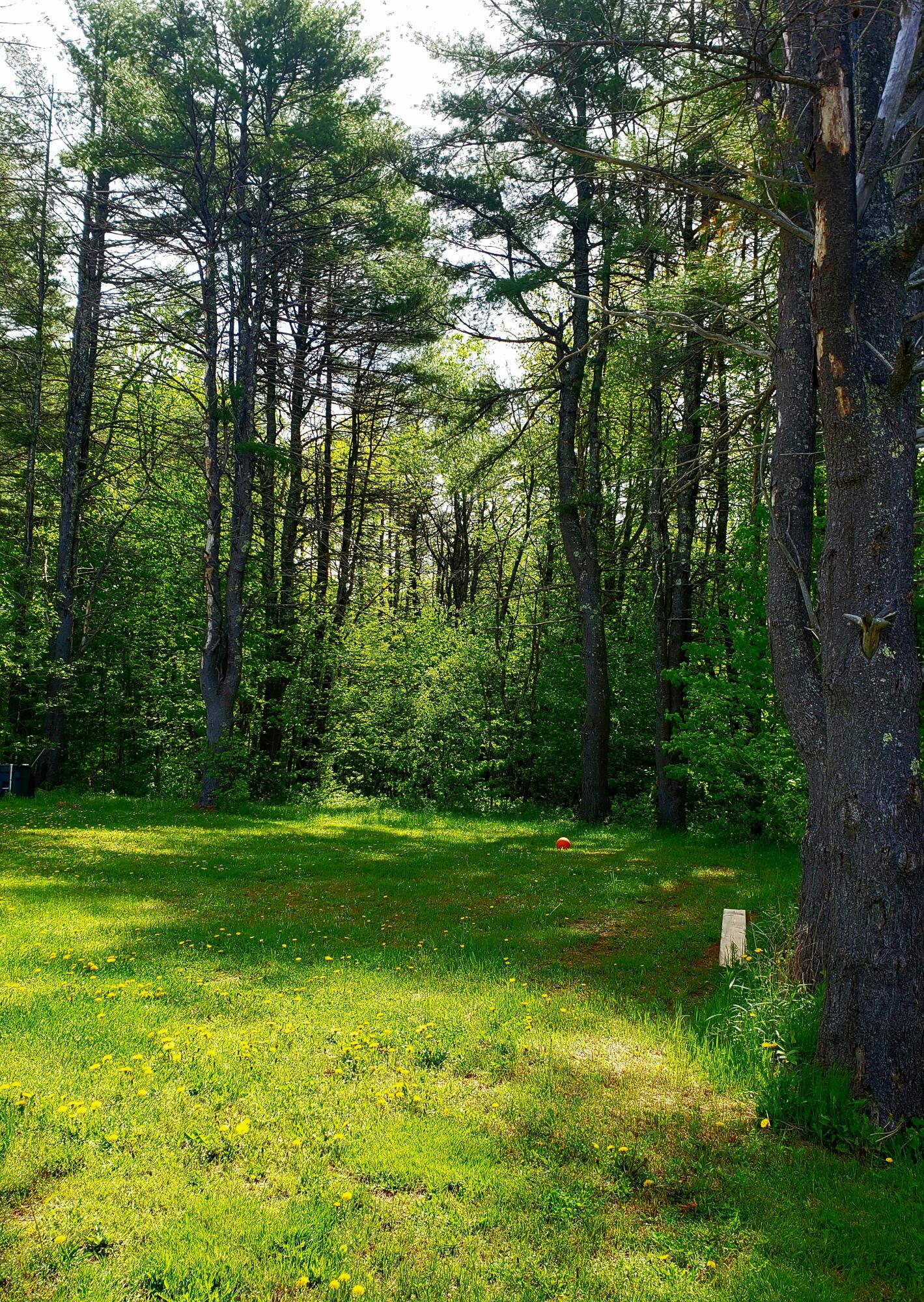 16 Old Greene Road Greene, ME 04236 - Photo 6 of 40 20220524_145923
