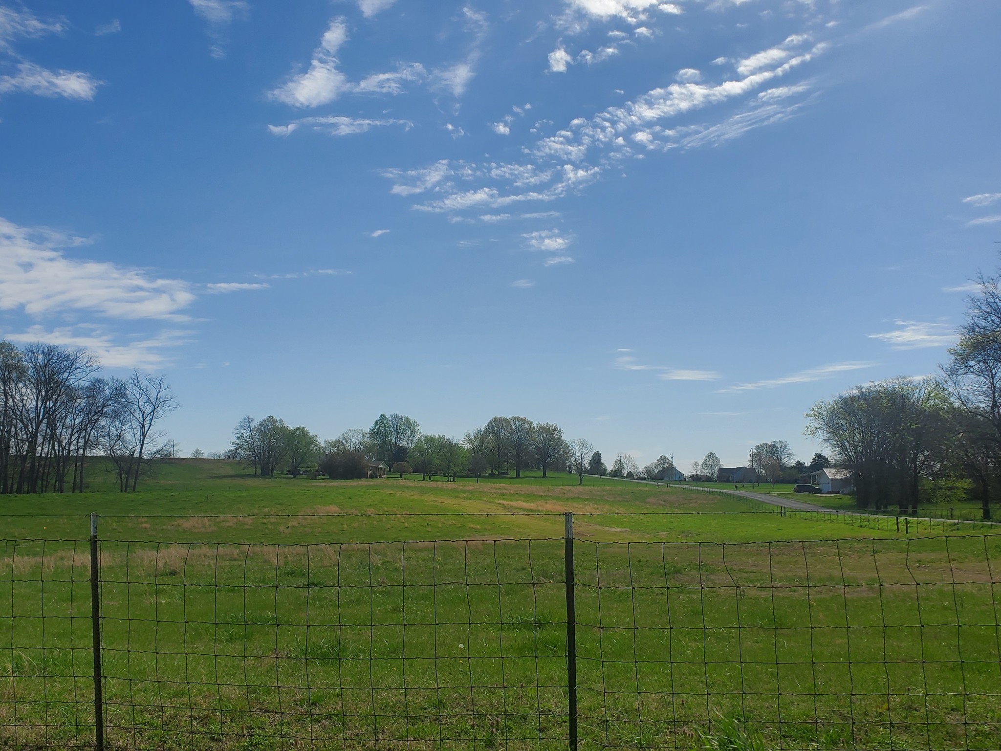 0 South Cross Bridges Road Mount Pleasant, TN 38474 - Photo 14 of 17 Gallery Image 14