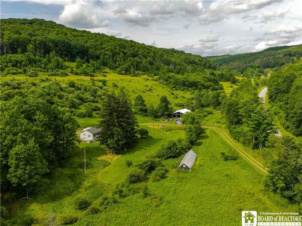 1605 Lillibridge Road Olean, NY 14760 - Photo 43 of 49