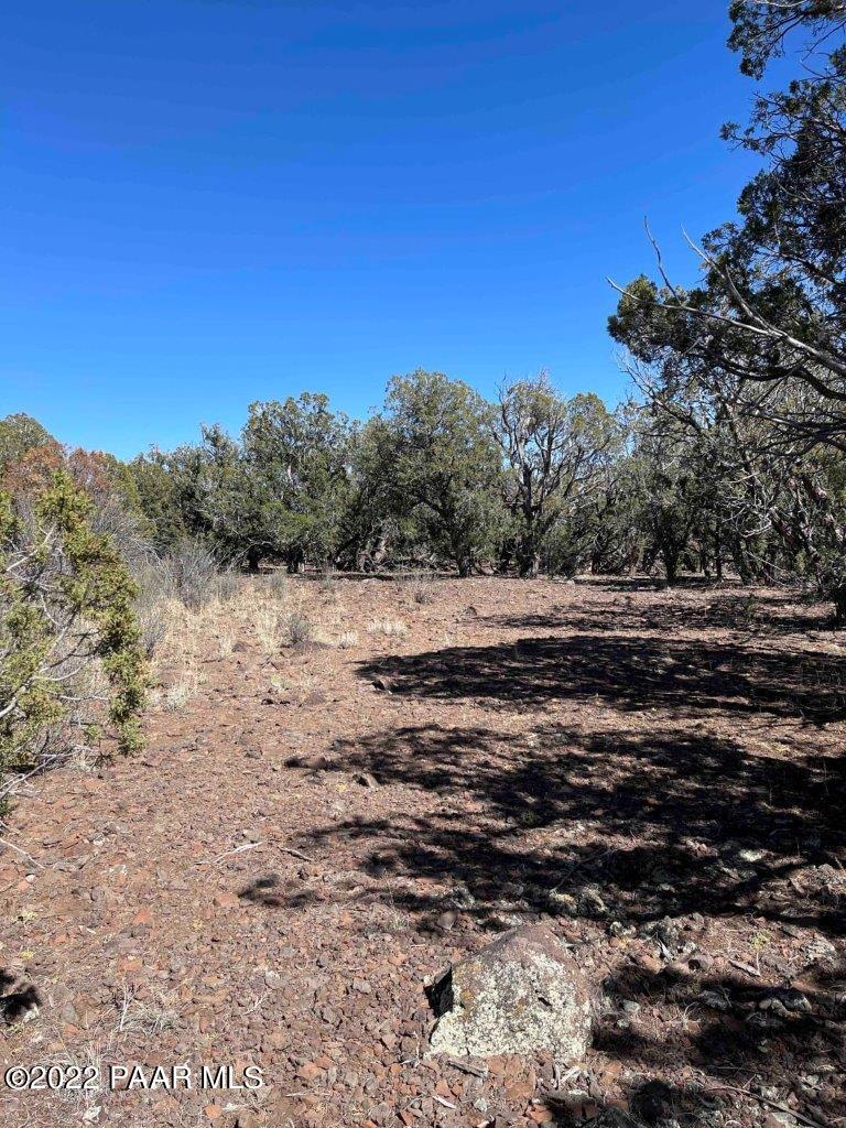 0 Flat Tire Road Williams, AZ 86046 - Photo 12 of 33 Open Space Near SE Corner 3