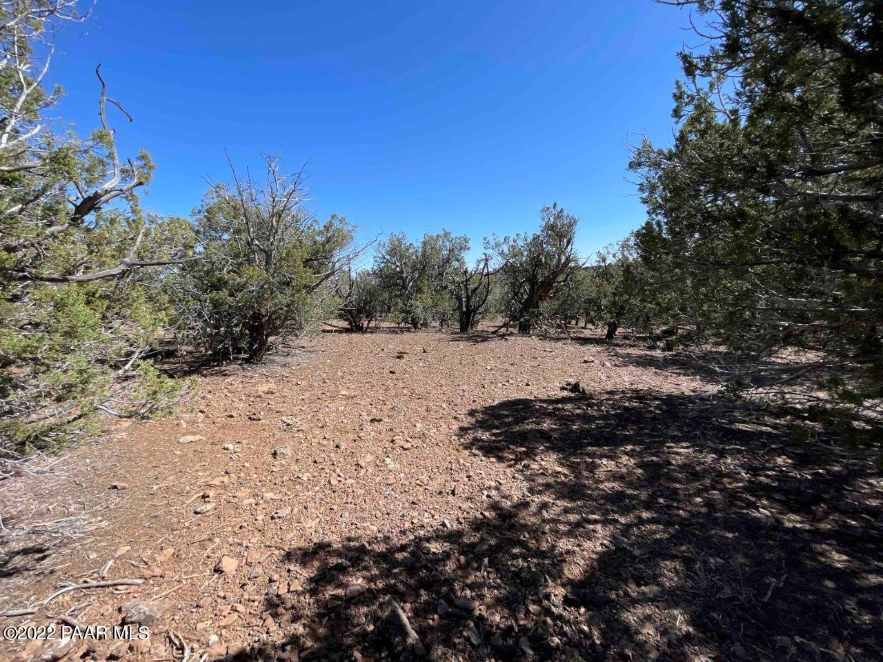 0 Flat Tire Road Williams, AZ 86046 - Photo 13 of 33 Open Space Near SE Corner Facing East 2