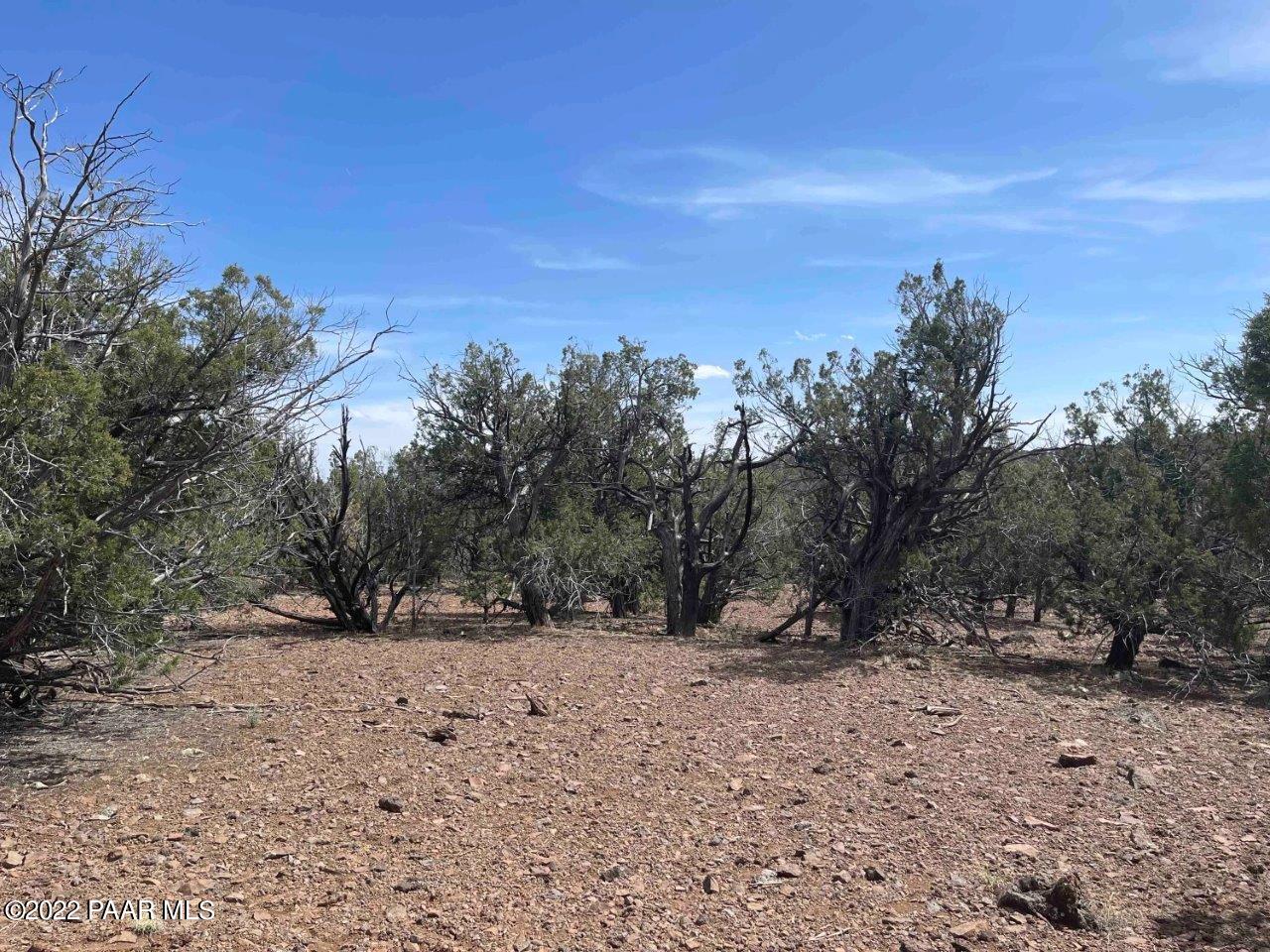 0 Flat Tire Road Williams, AZ 86046 - Photo 14 of 33 Open Space Near SE Corner Facing East