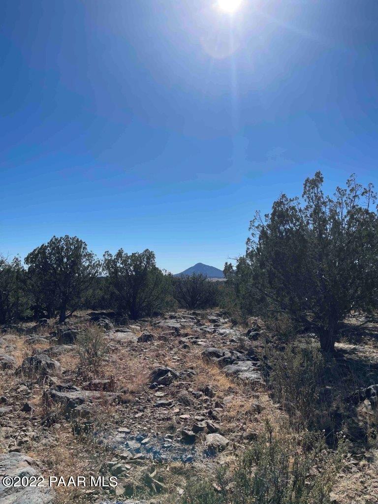 0 Flat Tire Road Williams, AZ 86046 - Photo 2 of 33 View East side of lot