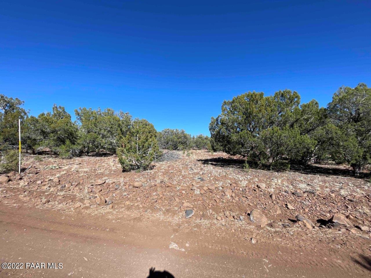 0 Flat Tire Road Williams, AZ 86046 - Photo 21 of 33 View from Road to NW Corner Facing East