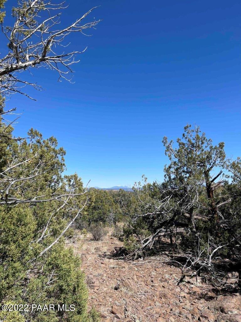0 Flat Tire Road Williams, AZ 86046 - Photo 24 of 33 View to East from Center East Side 2