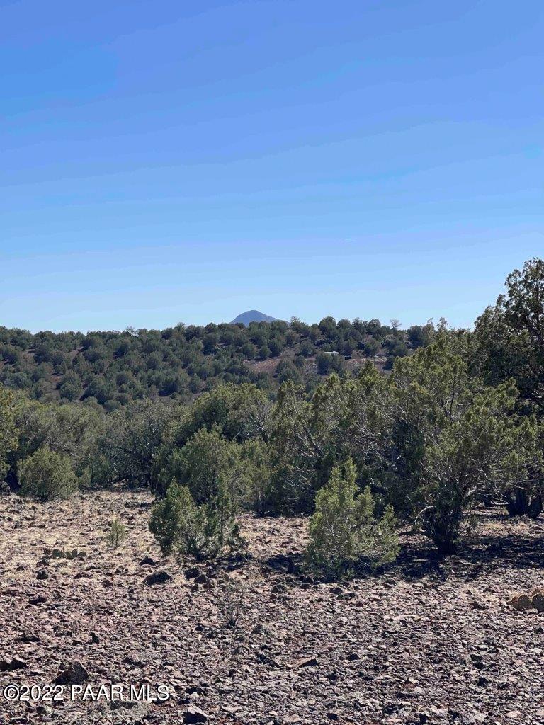 0 Flat Tire Road Williams, AZ 86046 - Photo 29 of 33 View to SE from SE Corner