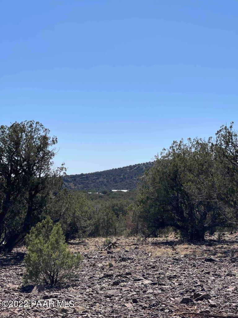 0 Flat Tire Road Williams, AZ 86046 - Photo 31 of 33 View to SW from SE Corner