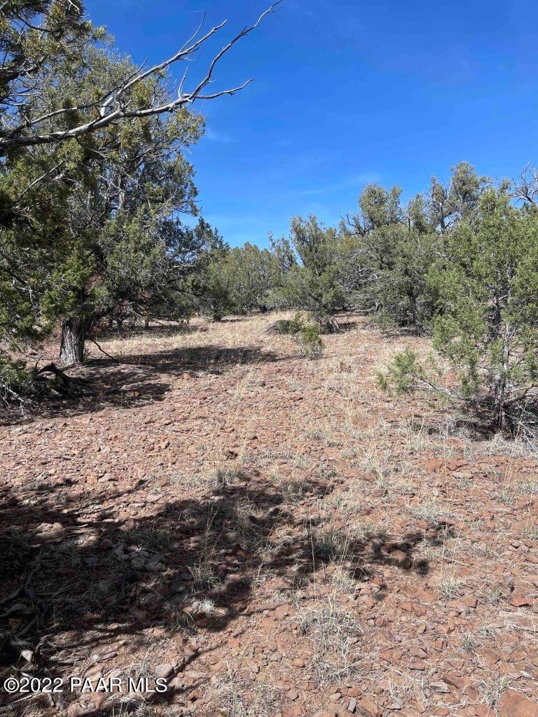 0 Flat Tire Road Williams, AZ 86046 - Photo 4 of 33 Center of Property