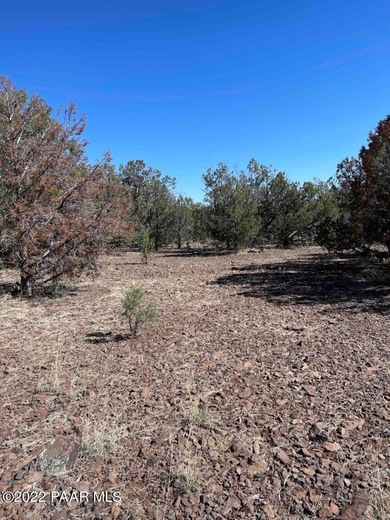 0 Flat Tire Road Williams, AZ 86046 - Photo 7 of 33 Near Center of Property North Side