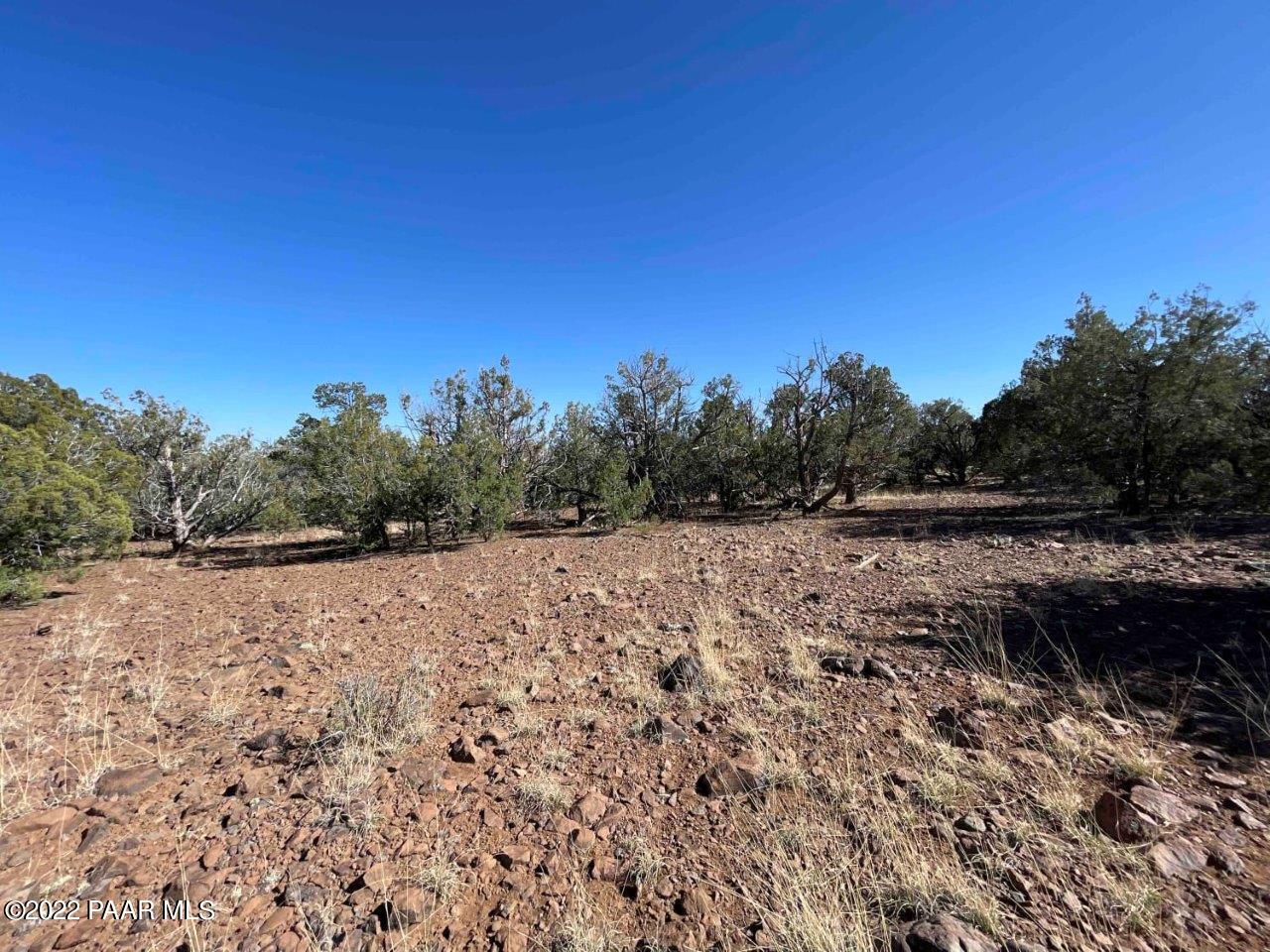 0 Flat Tire Road Williams, AZ 86046 - Photo 8 of 33 Northeast Side Open Space 2