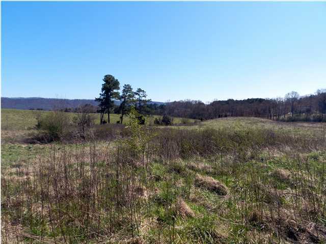 141 Patty Road Ringgold, GA 30736 - Photo 6 of 26 Additional Photo