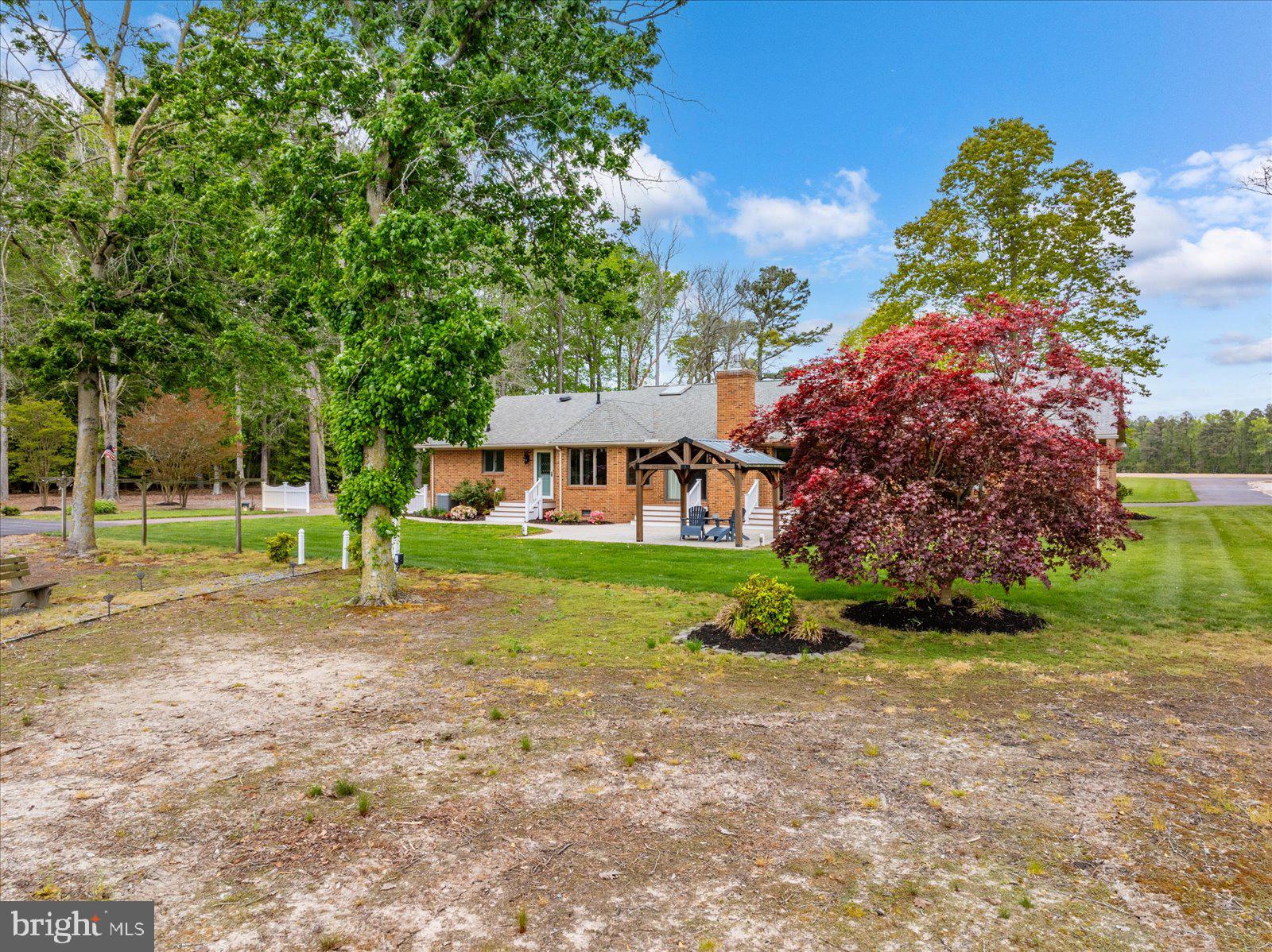 33915 Shockley Road Parsonsburg, MD 21849 - Photo 106 of 125 Charming home amidst vibrant greenery.