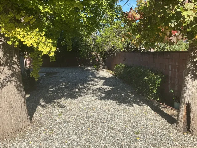 a view of a yard with plants and trees
