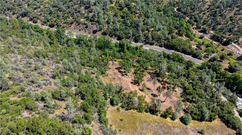10 Miller Road Mariposa, CA 95338 - Photo 12 of 34 a view of a forest with a tree