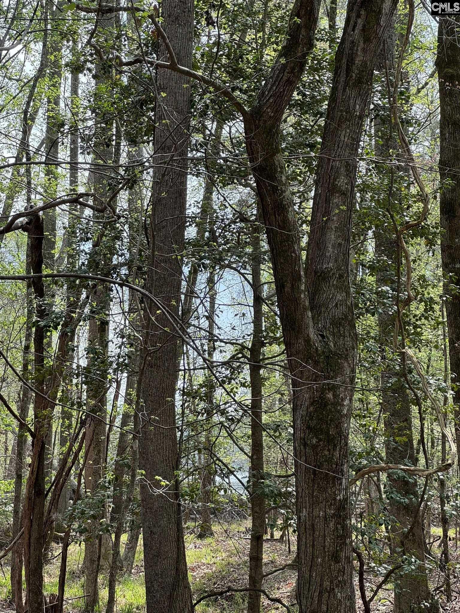 359 Holly Point Road Prosperity, SC 29127 - Photo 11 of 13