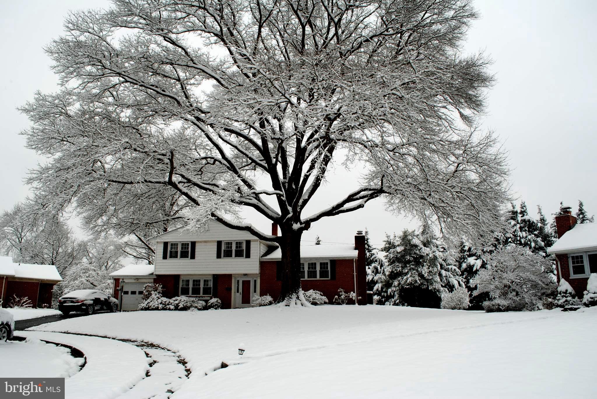 246 Coldbrook Road Lutherville-Timonium, MD 21093 - Photo 1 of 42 PICTURESQUE FRONT VIEW OF HOUSE
