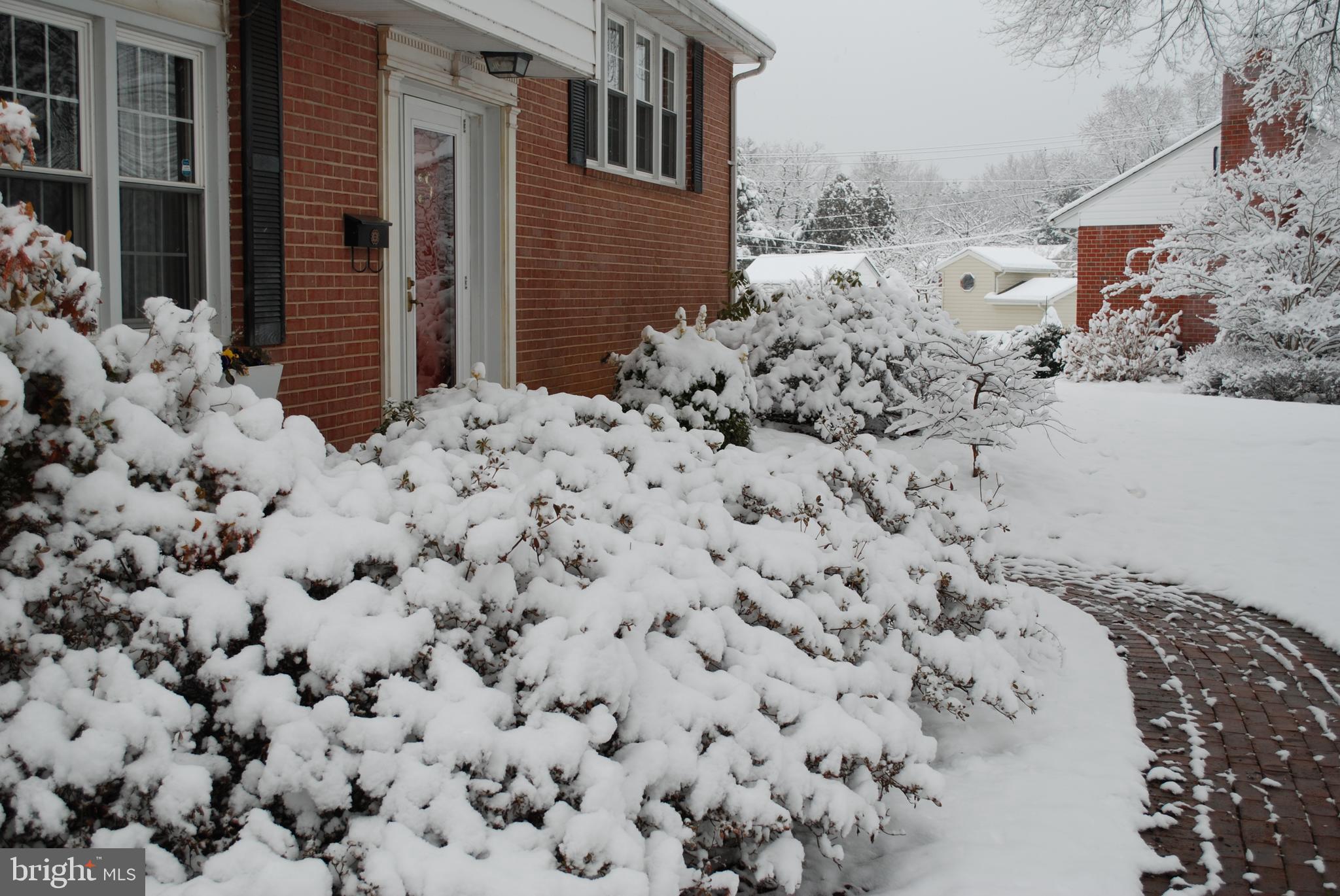 246 Coldbrook Road Lutherville-Timonium, MD 21093 - Photo 3 of 42 BEAUTIFUL IN SEASON AZEALEAS