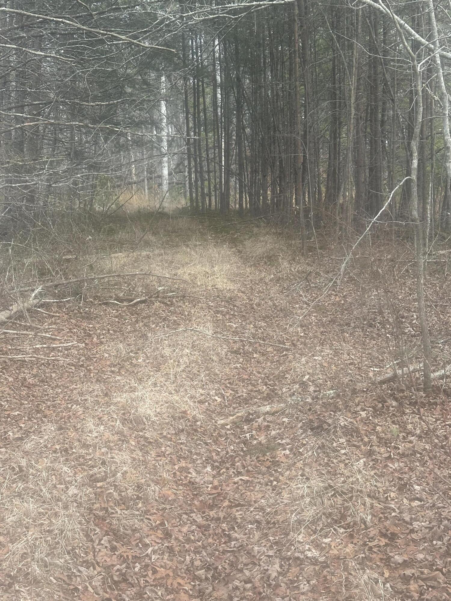 1 Snyder Loop Graysville, TN 37338 - Photo 2 of 3 IMG_4222