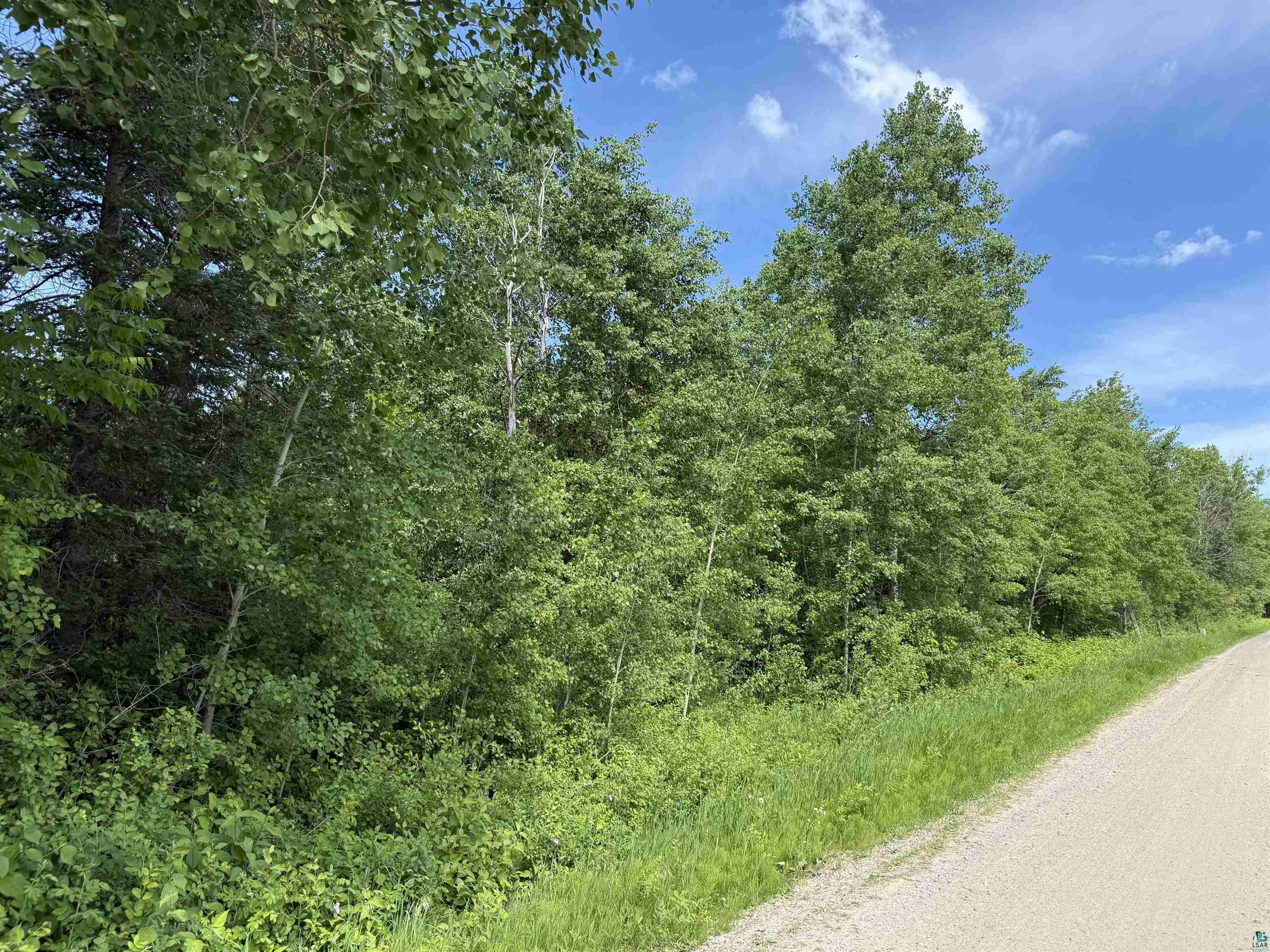 Lot 1 Parameter Road Deer River, MN 56636 - Photo 6 of 11 Gallery Image 6