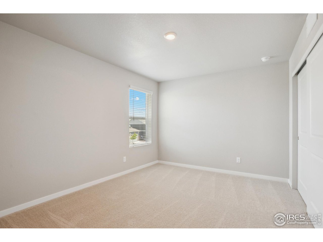 960 Cascade Falls Street Severance, CO 80550 - Photo 15 of 23