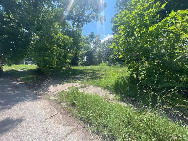 $12,500 | 1342 North 41st Street, East St. Louis, IL 62204