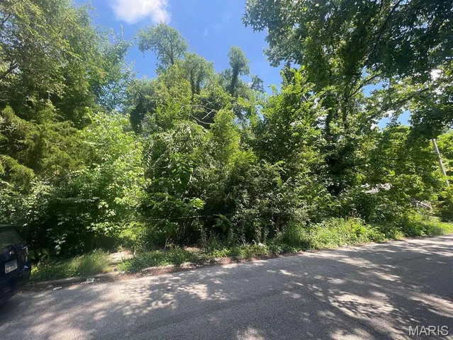 $12,500 | 1342 North 41st Street, East St. Louis, IL 62204