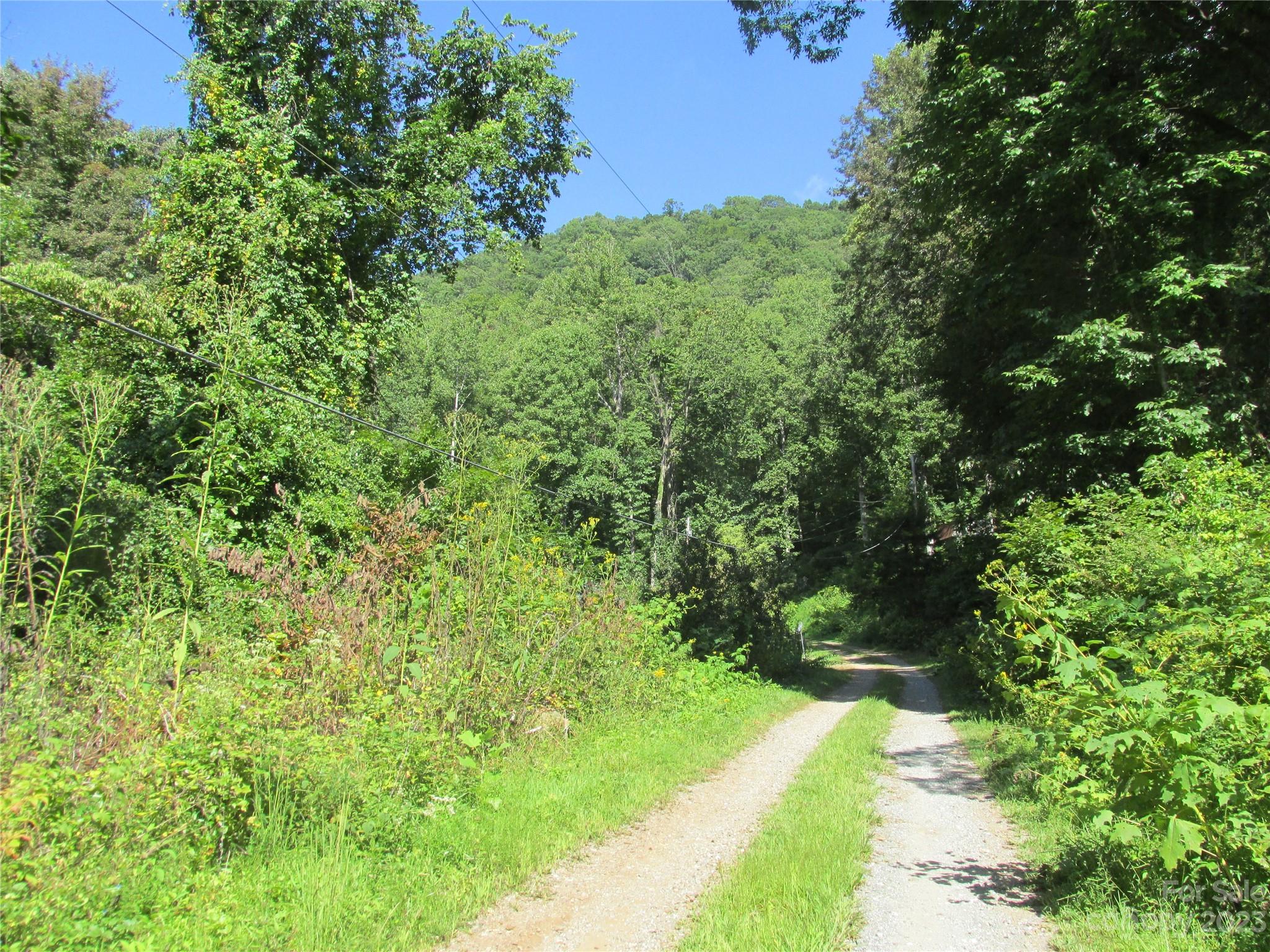 19 Tumbleweed Trail Cullowhee, NC 28723 - Photo 1 of 5 a view of a yard with plants and a bench