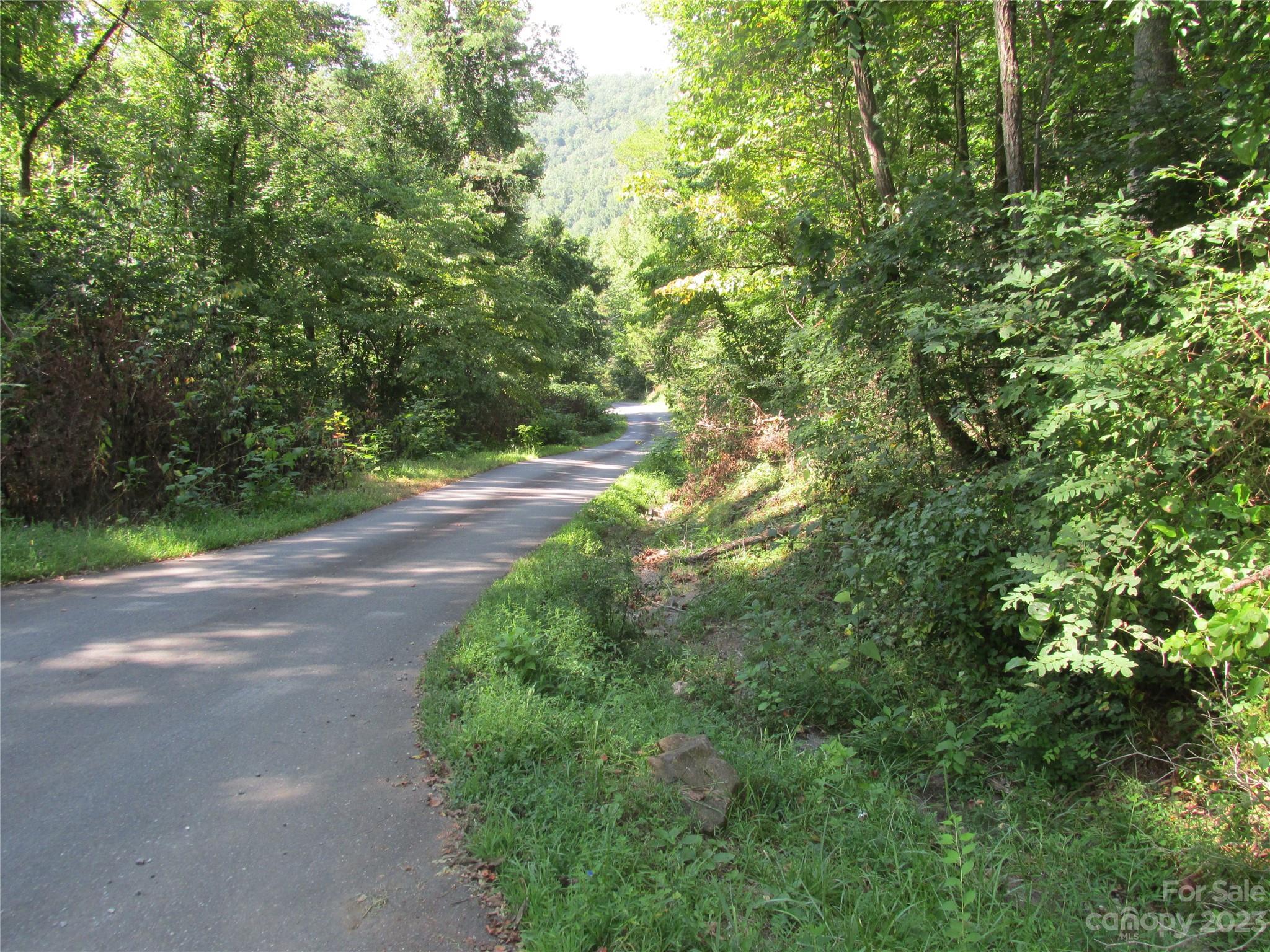 19 Tumbleweed Trail Cullowhee, NC 28723 - Photo 2 of 5 a view of a yard with a trees