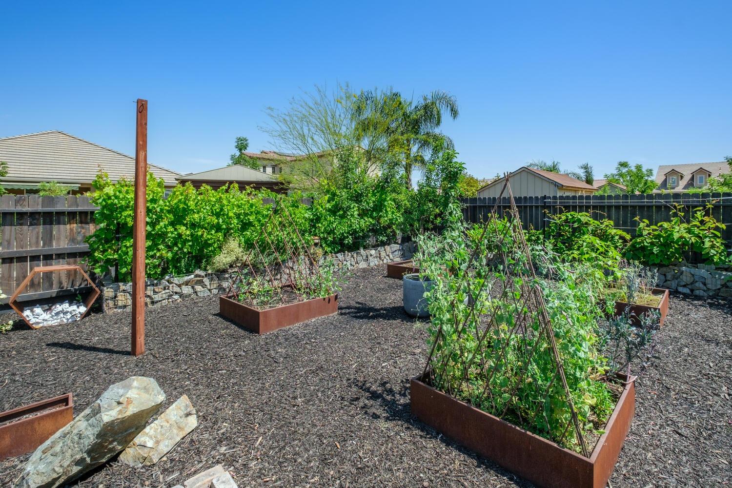 3477 Junipero Avenue Clovis, CA 93619 - Photo 30 of 39