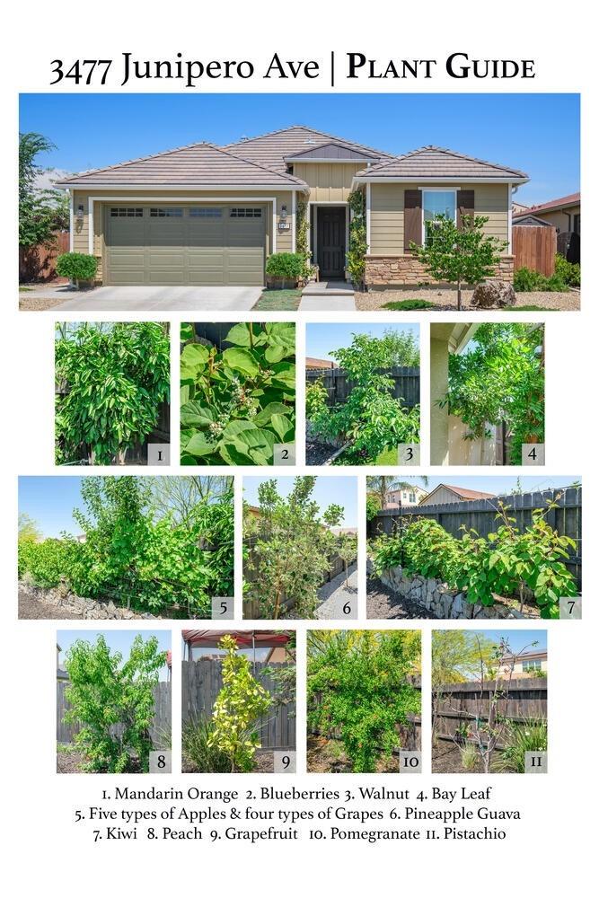 3477 Junipero Avenue Clovis, CA 93619 - Photo 38 of 39 a house view with a garden space