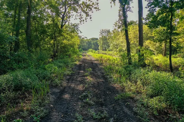 a view of outdoor space and trees