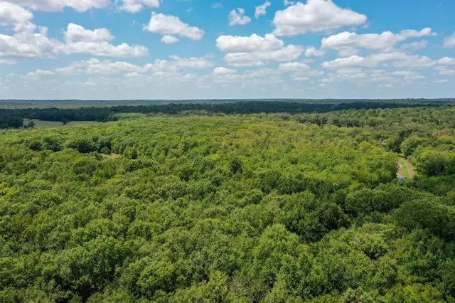 a view of swimming pool with trees