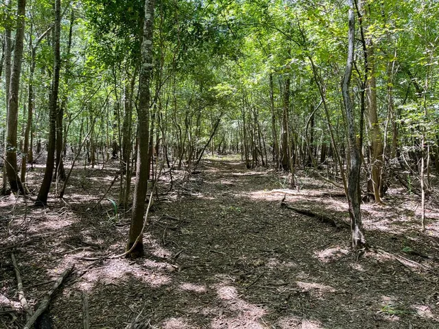 a view of a lake with a yard